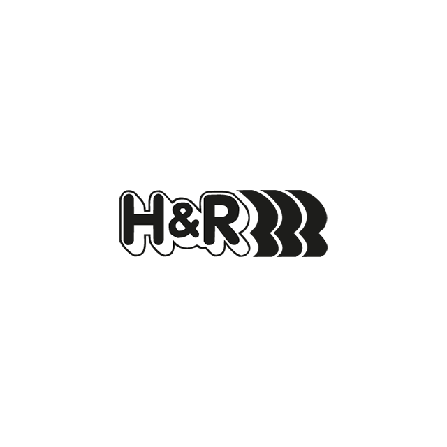 H&R Special Springs