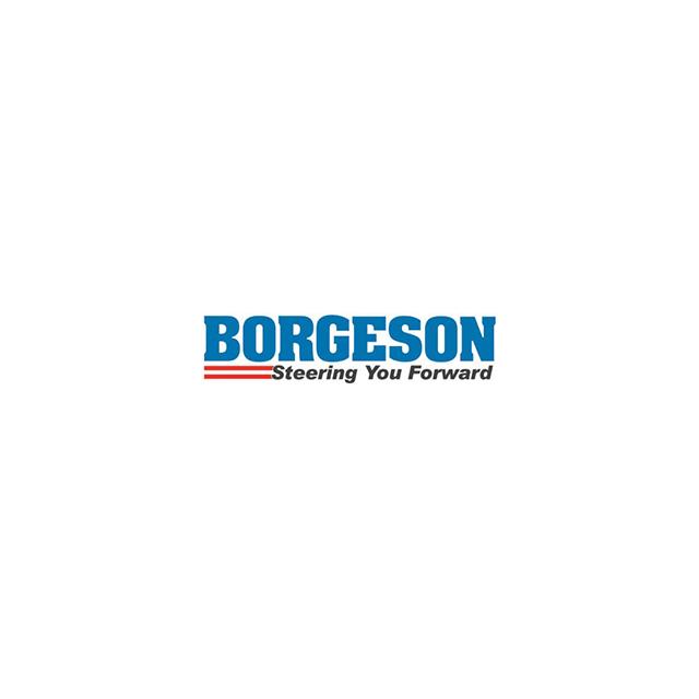 Borgeson